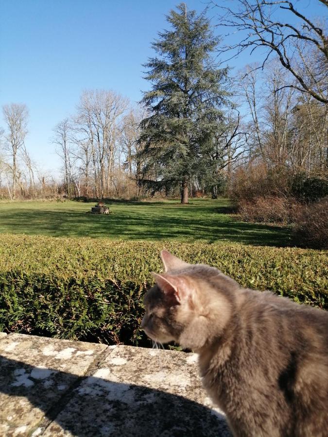 Domaine De Prefond Bed & Breakfast Bengy-sur-Craon Dış mekan fotoğraf